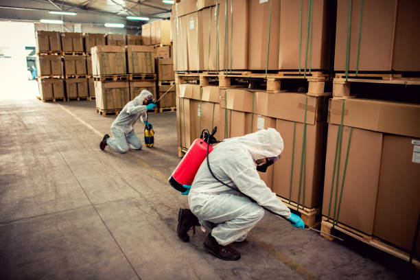Best Local Pest Control Services  in Ball Pond, CT