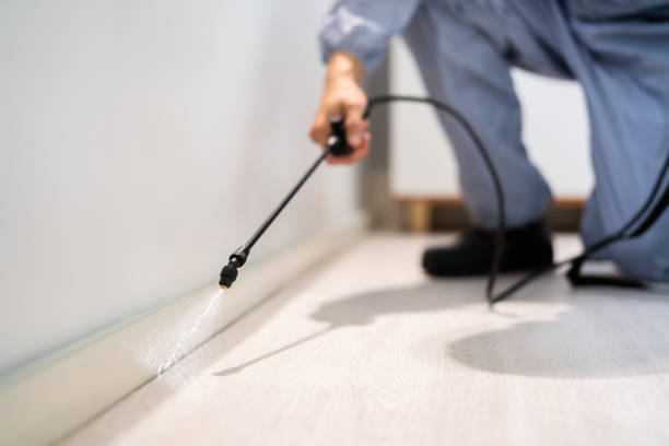 Best Mosquito Control Services  in Ball Pond, CT