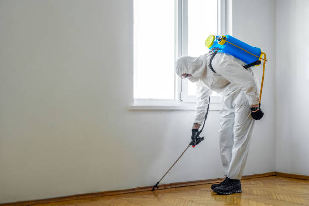 Professional Pest Control in Ball Pond, CT