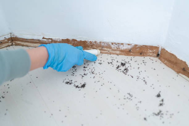  Ball Pond, CT Pest Control Pros