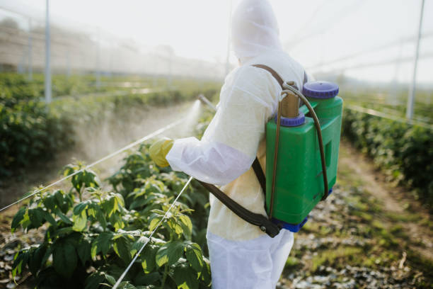 Best Local Pest Control Services  in Ball Pond, CT